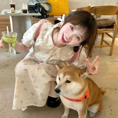 疯狂的帽子