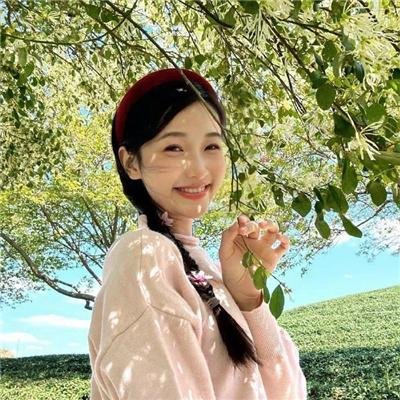 帝国玫瑰